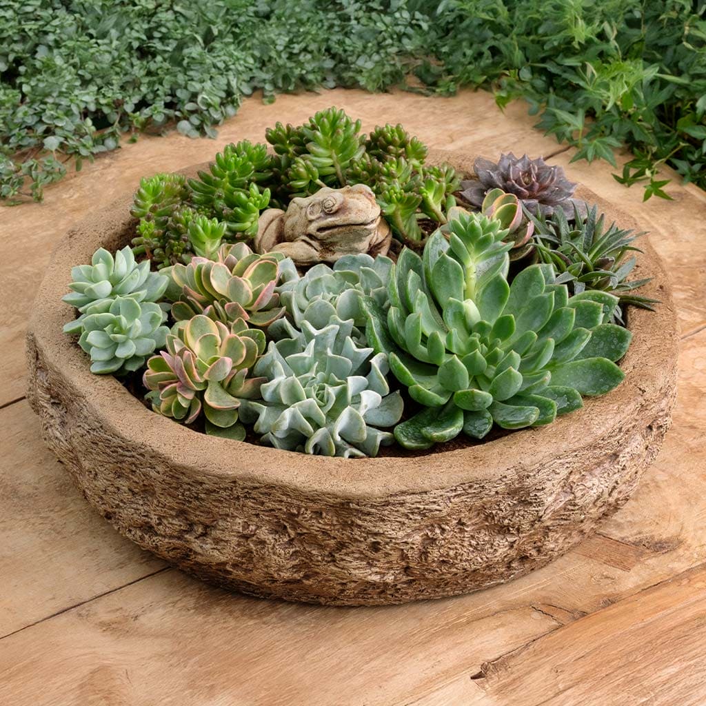 Campania International Forest Frog Planter