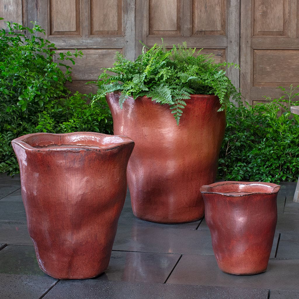 Campania International Foxglove Planter in Brunello Set