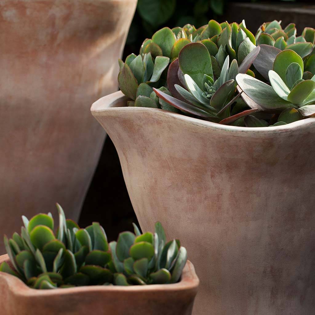 Campania International Foxglove Tall Planter in Terra Cotta set of 3 - Image 2