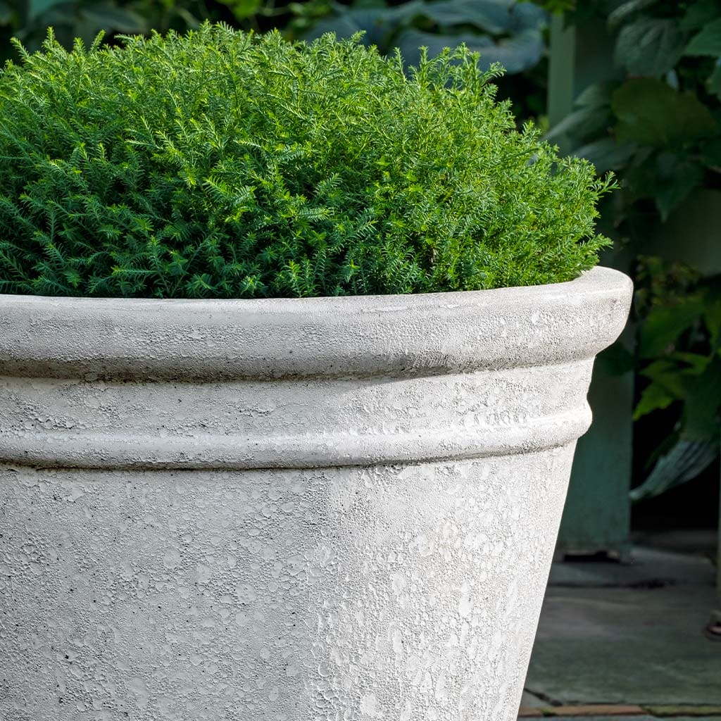 Campania International Marchand Planter in White Coral set of 3 - Image 2