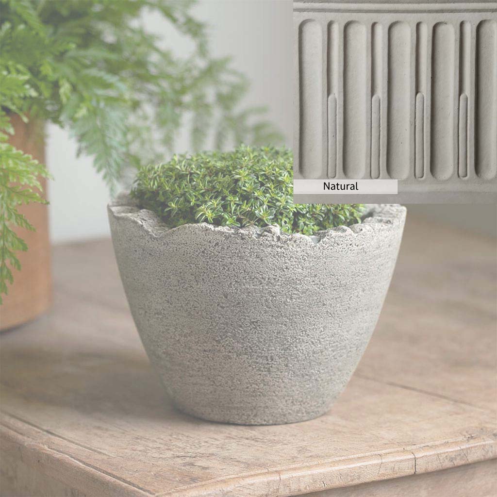 Campania International Mini Broken Egg Planter - Image 10