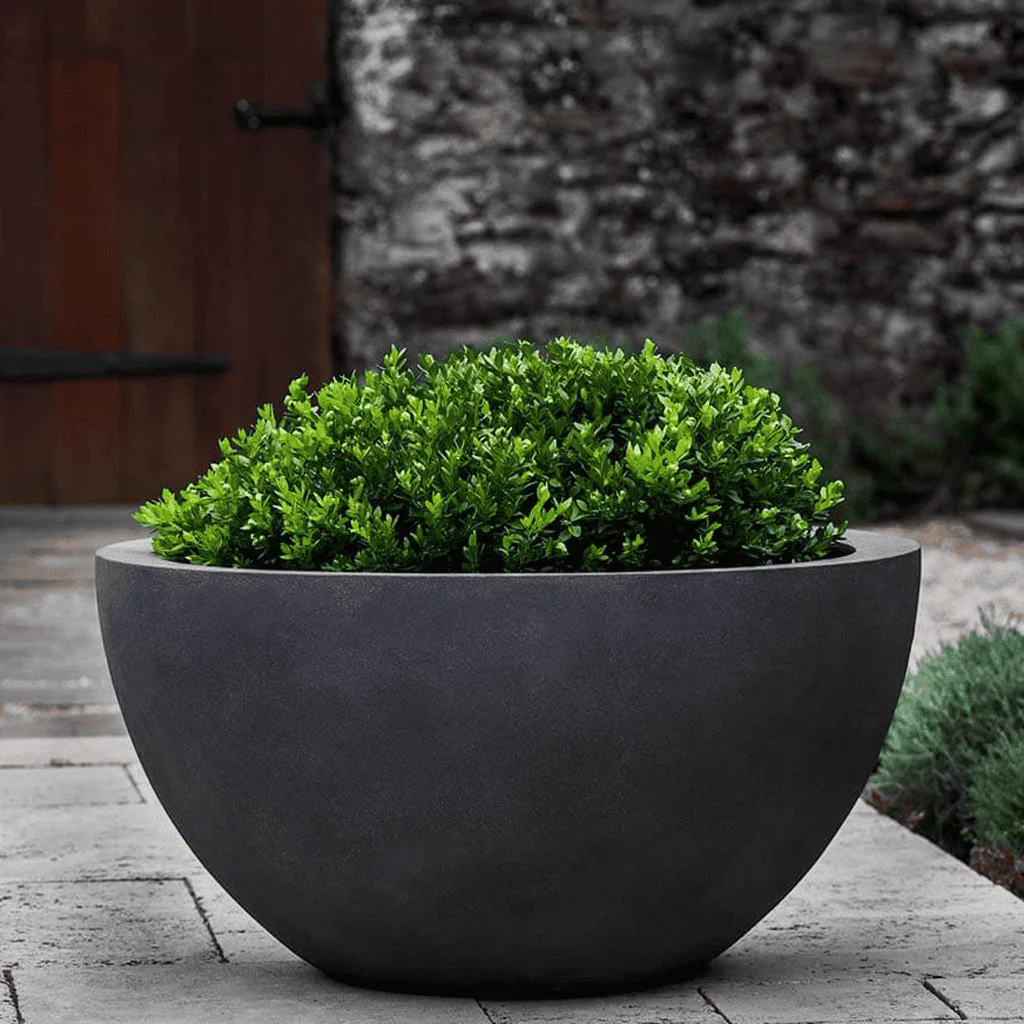 Campania International Piccadilly Medium Planter - Image 4