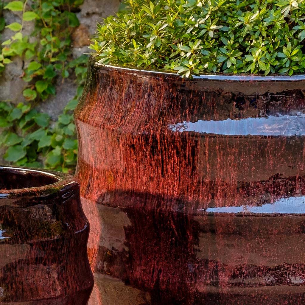 Campania International Pomerol Planter in Bordeaux set of 2 - Image 2