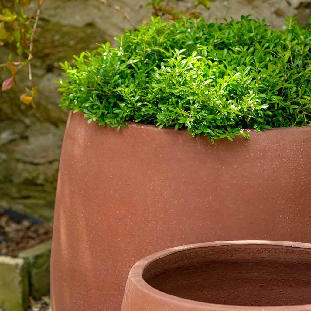 Campania International Potrero Planter in Terra Rosa set of 3 - Image 2