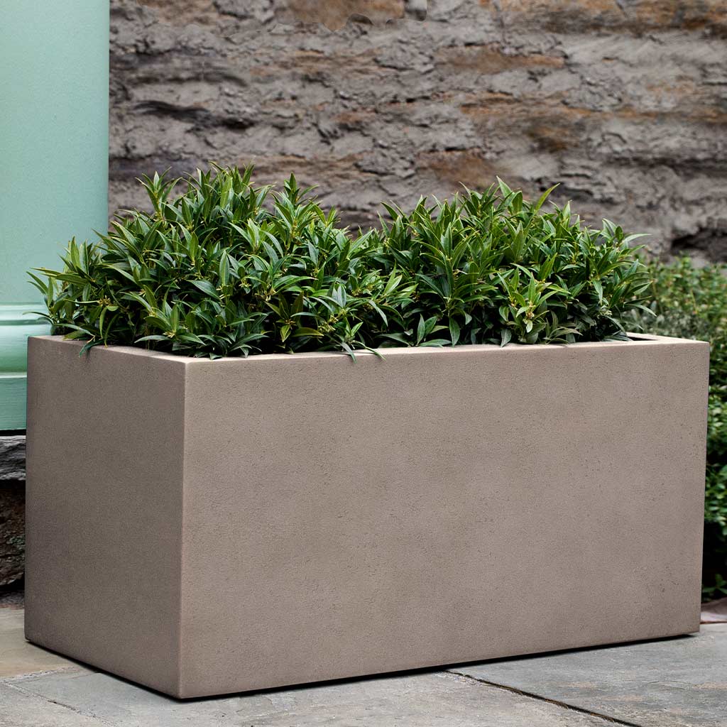 Campania International Sandal Planter 361818 - Image 10