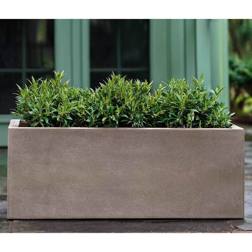 Campania International Sandal Planter 481818 - Image 10