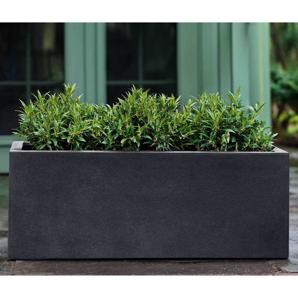 Campania International Sandal Planter 481818 - Image 6