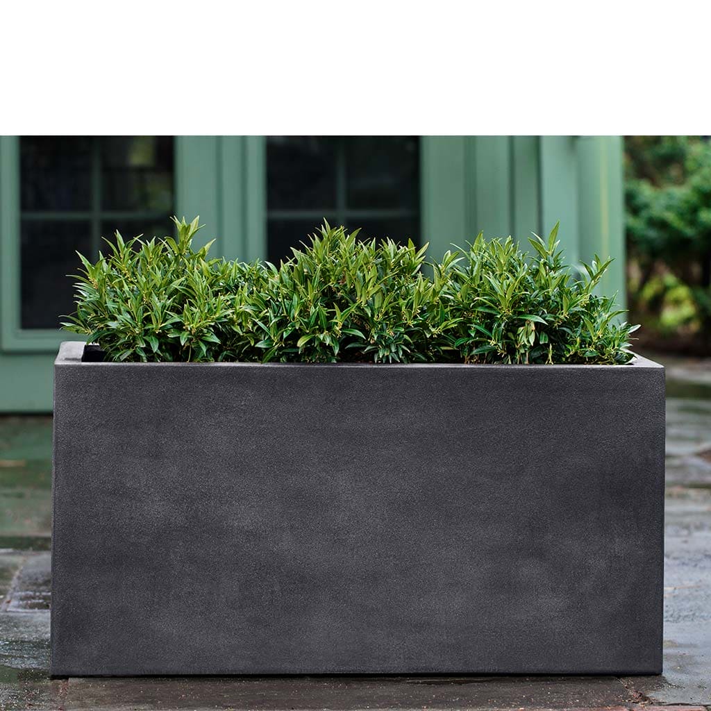 Campania International Sandal Planter 592424 - Image 8