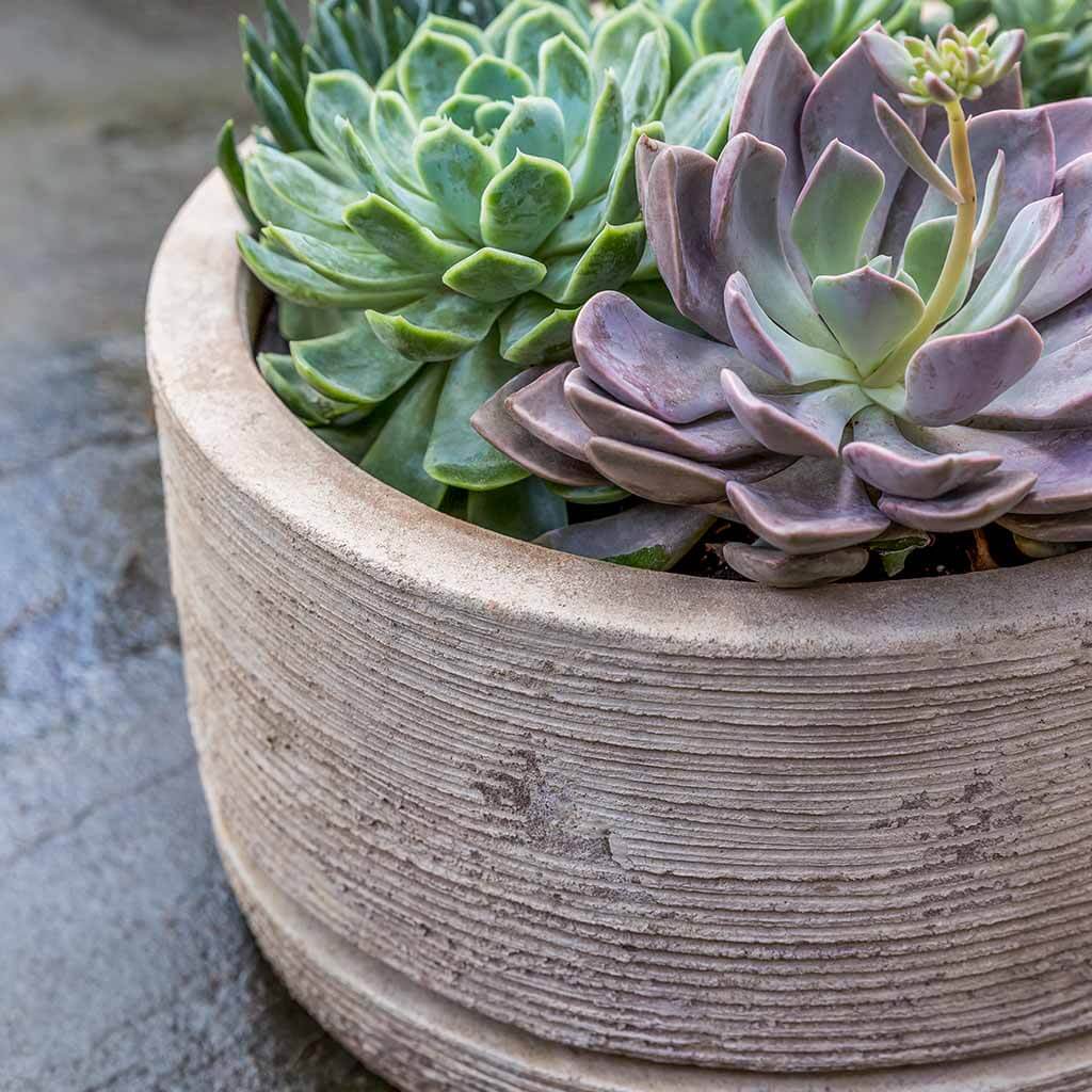 Campania International Sgraffito Low Planter in Antico Terra Cotta set of 3 - Image 2