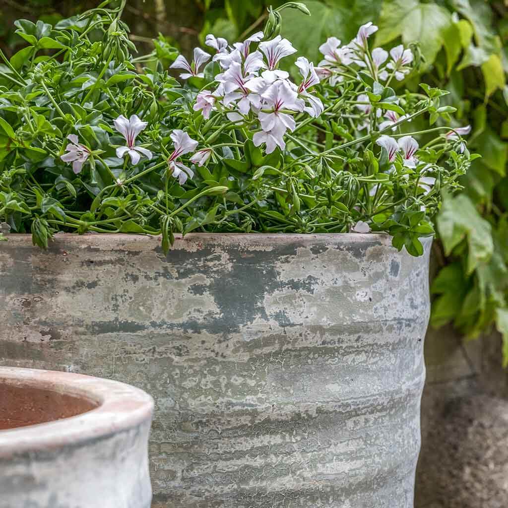 Campania International Sistina Planter in Vicolo Terra set of 2 - Image 2