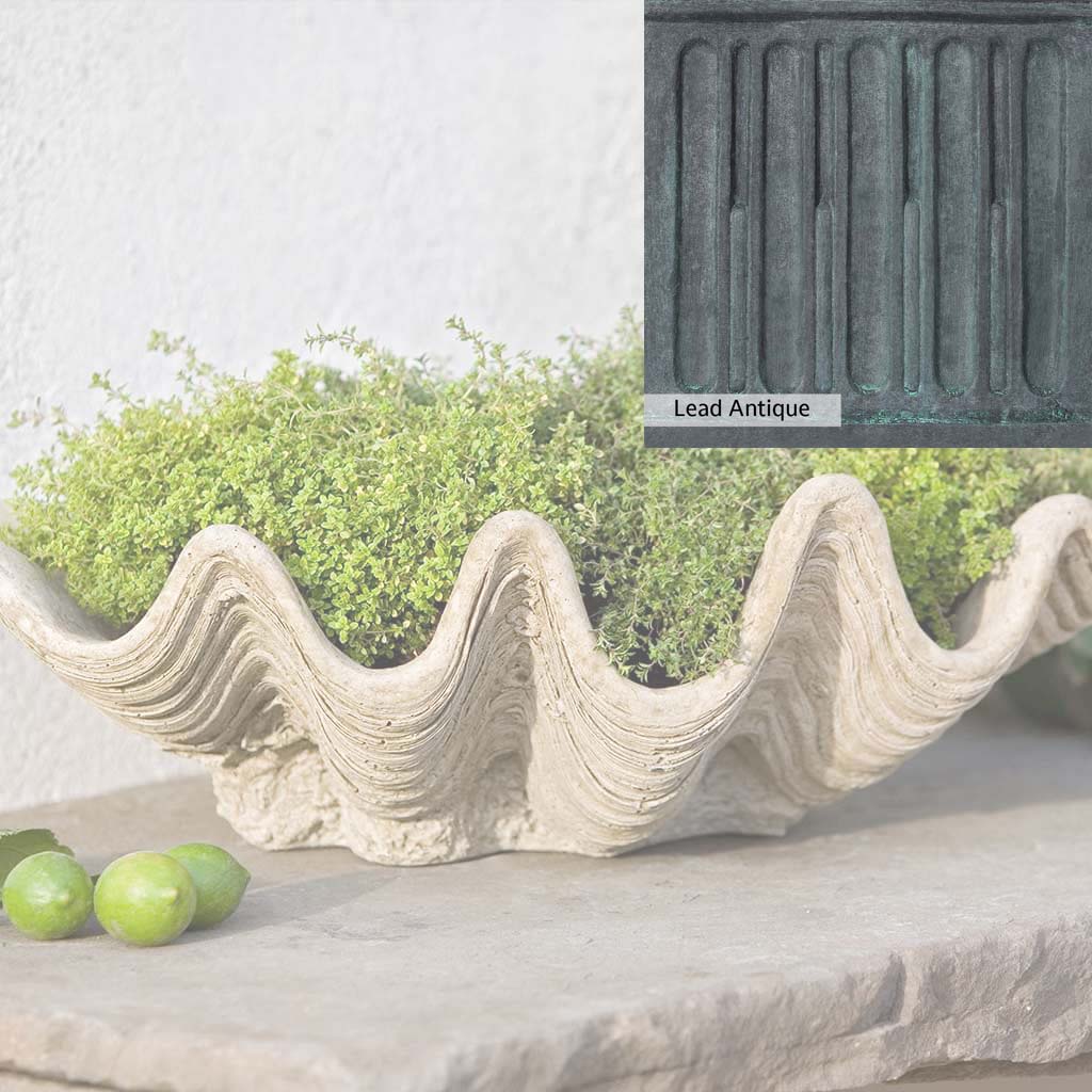 Campania International South Seas Planter - Image 10