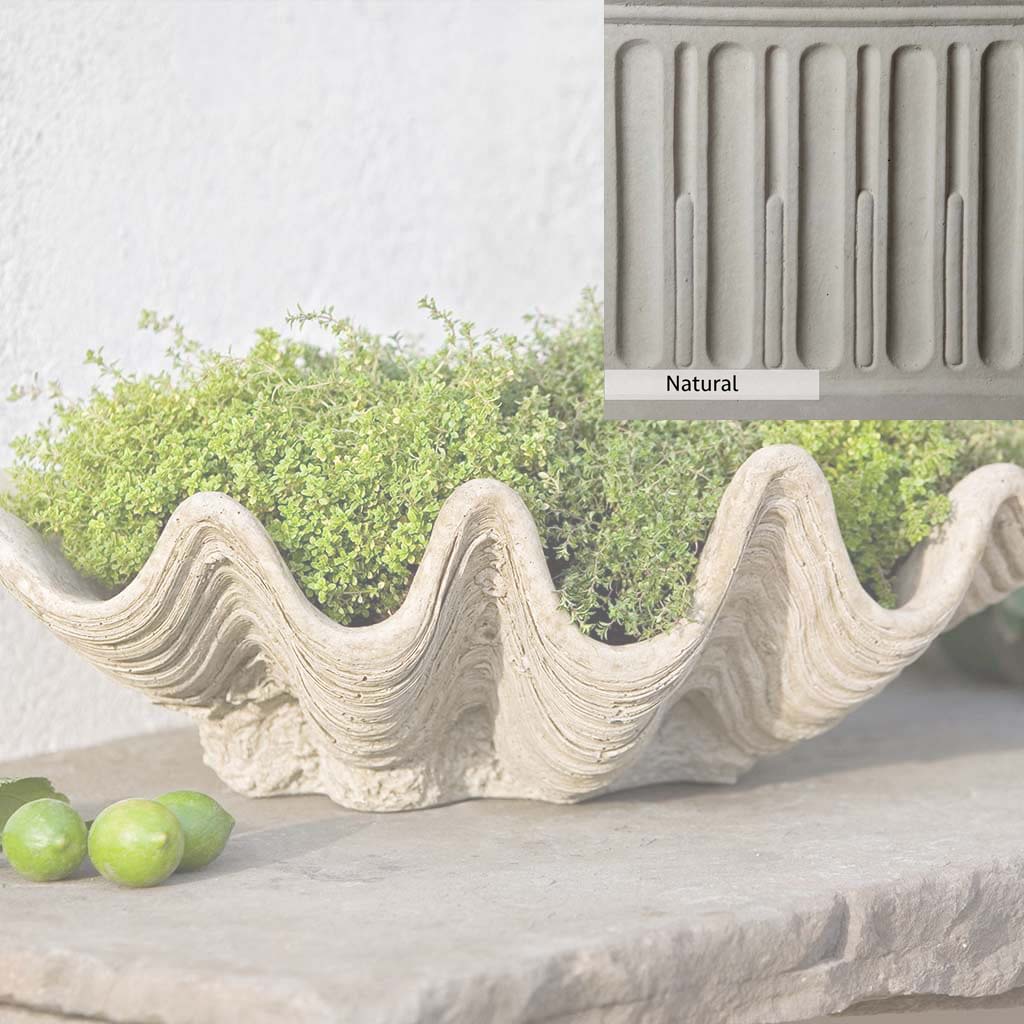 Campania International South Seas Planter - Image 11