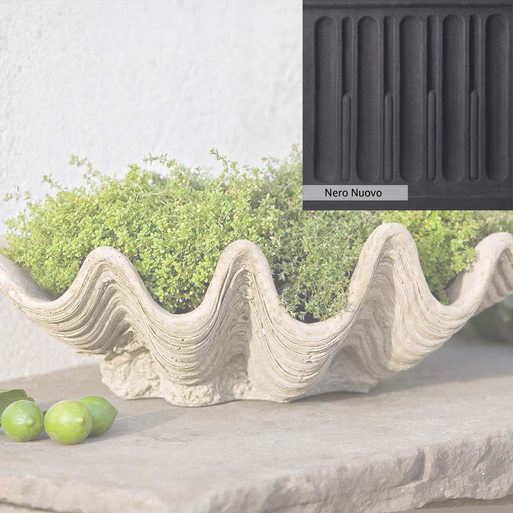 Campania International South Seas Planter - Image 12