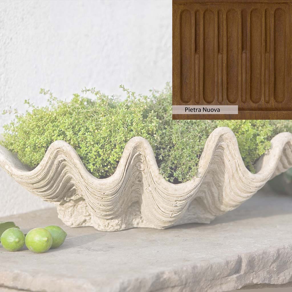 Campania International South Seas Planter - Image 13