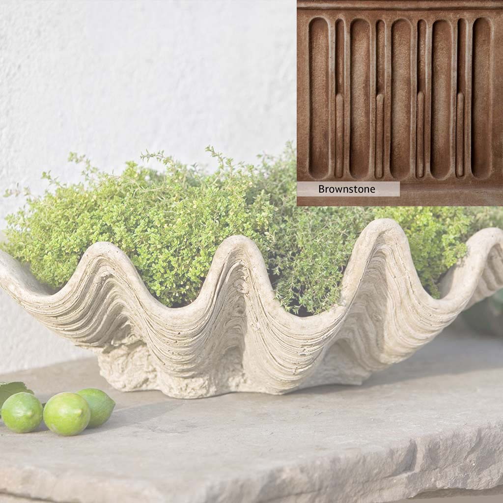 Campania International South Seas Planter - Image 3