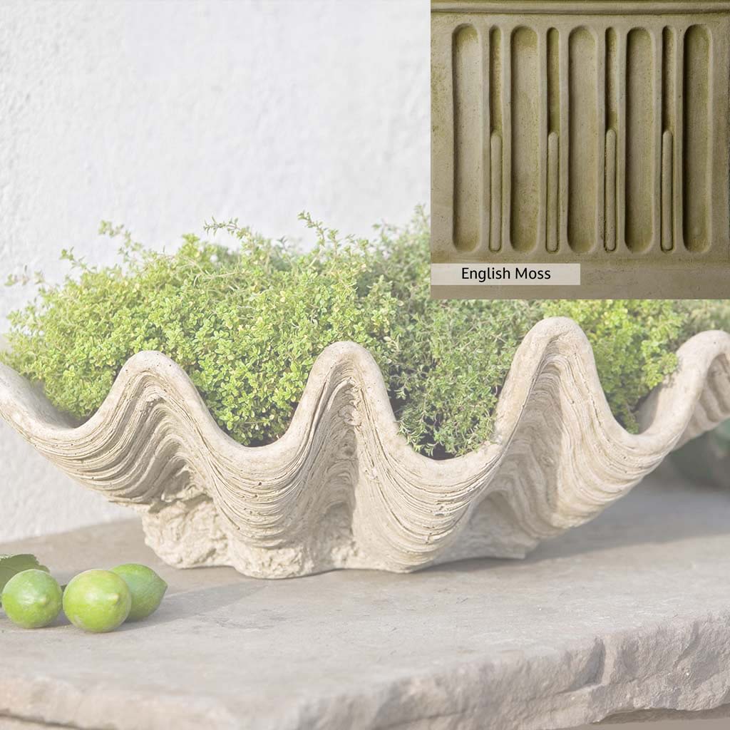 Campania International South Seas Planter - Image 6