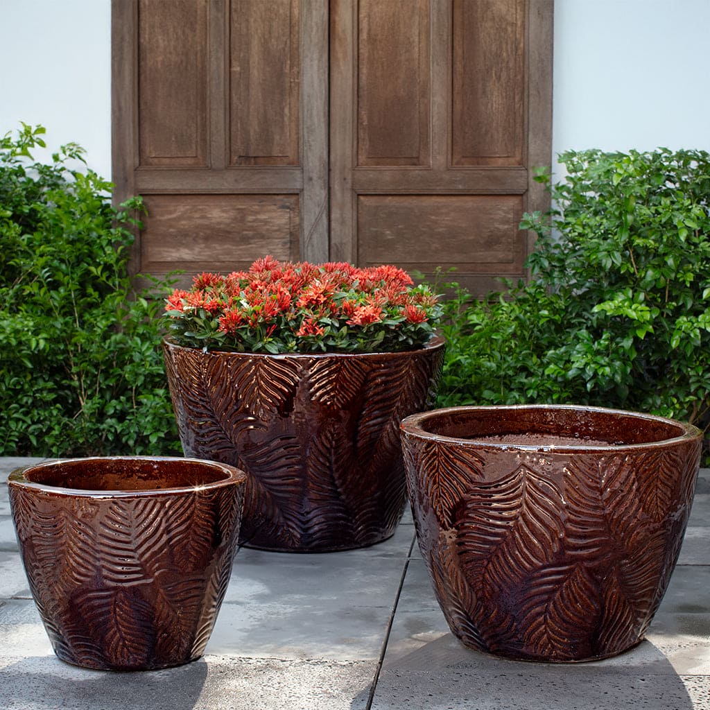 Campania International Tropicale Planter in Cognac Set
