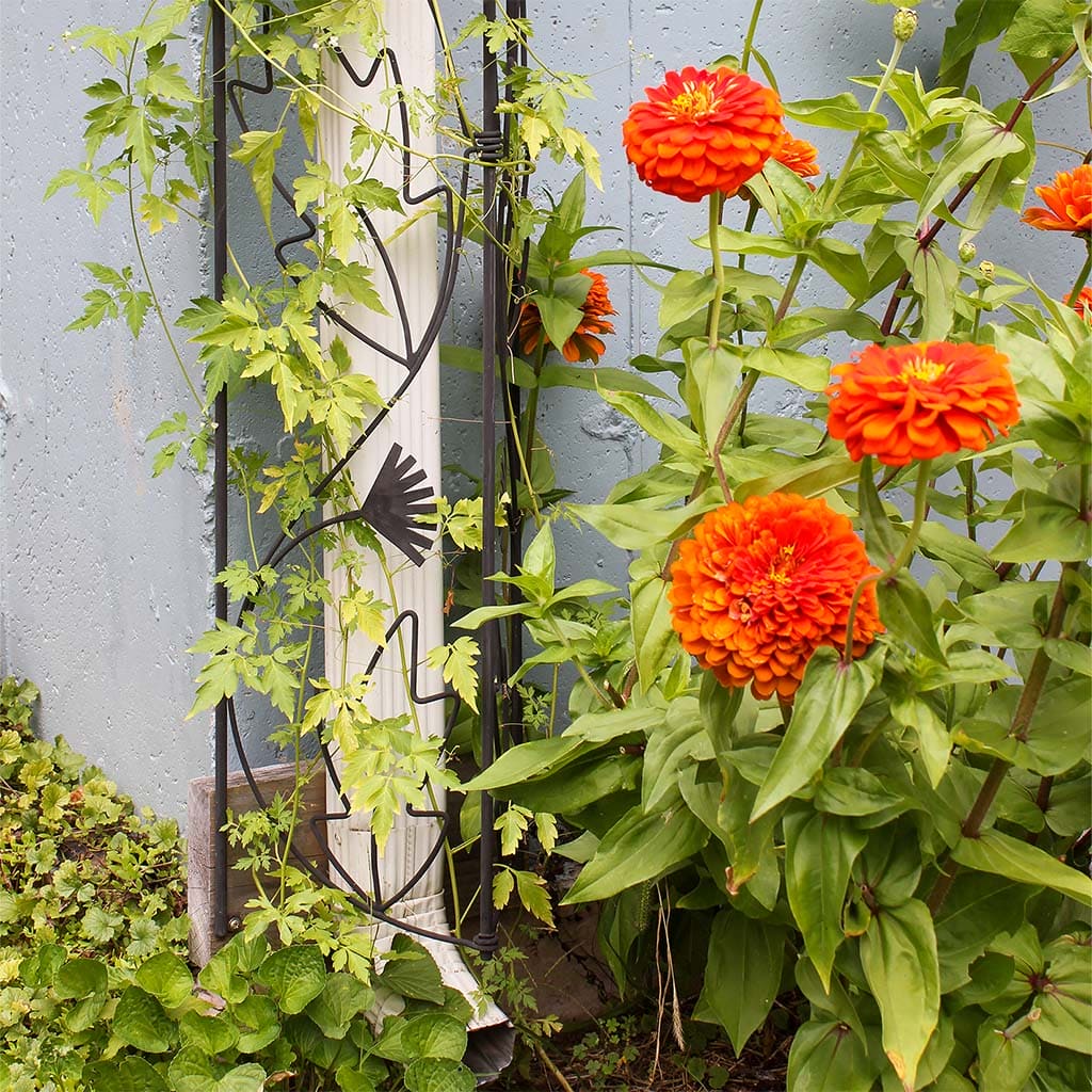 Downspout Trellis by Achla Designs - Image 7