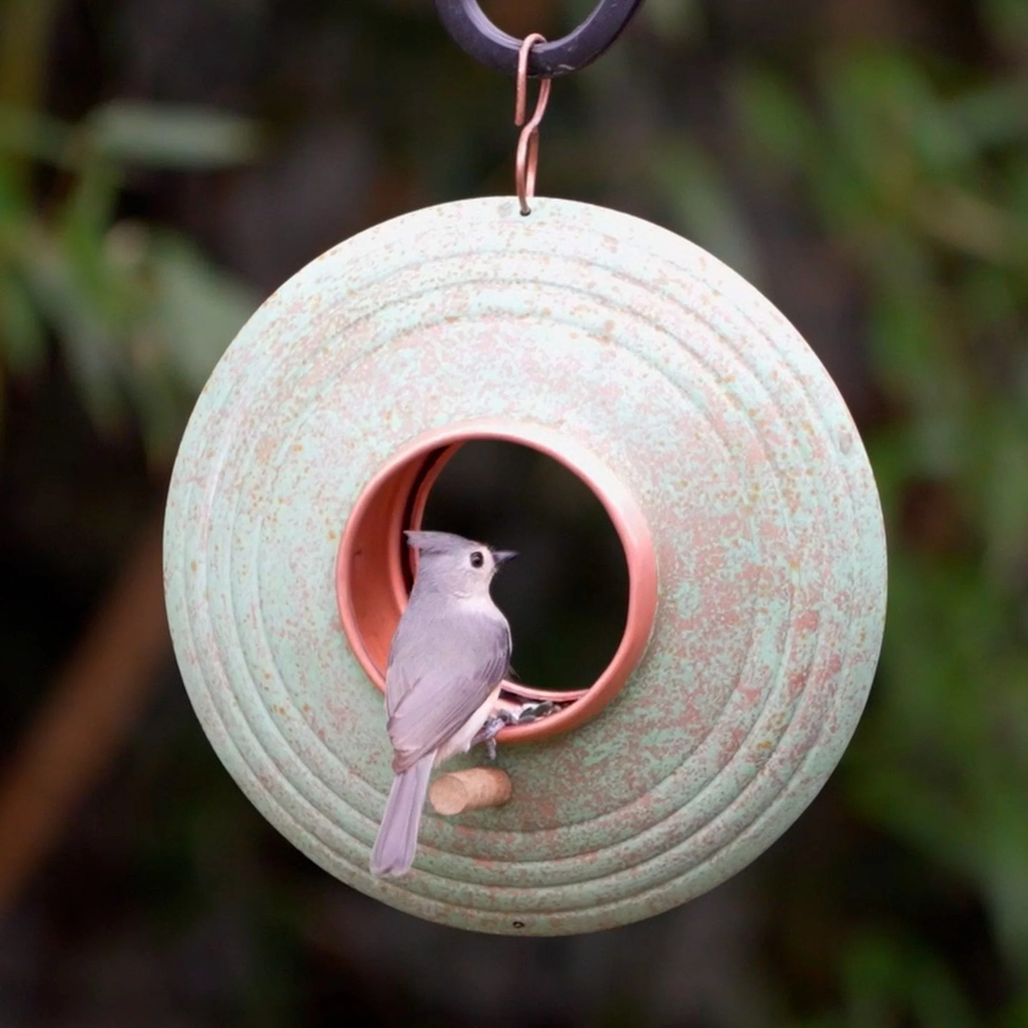 Good Directions Verde Fly-Thru Bird Feeder