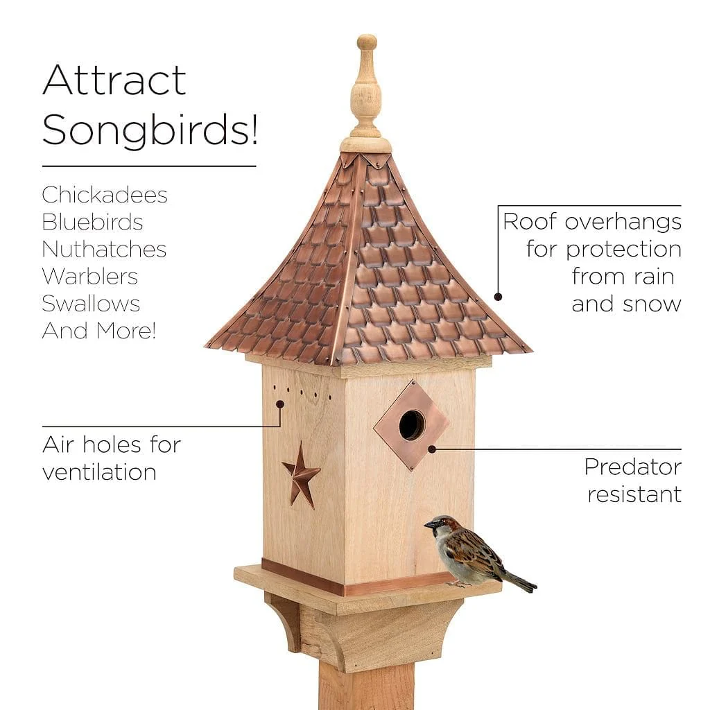 Good Directions Villa Bird House with Pure Copper Roof - Image 6