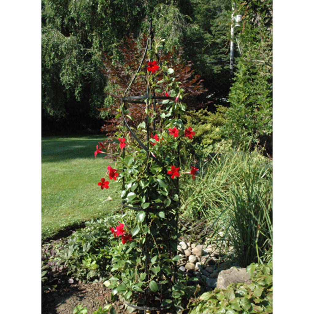 Kinsman Border Tuteur Black Obelisk - Image 3