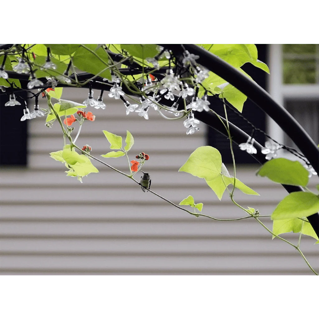 Lattice Arbor by Achla Designs - Image 6