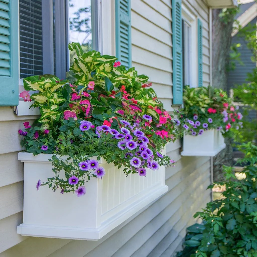 Mayne Cape Cod 4ft Window Box - Image 2